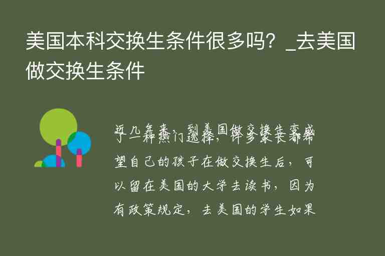 美國本科交換生條件很多嗎？_去美國做交換生條件