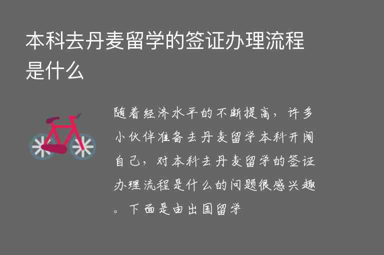 本科去丹麥留學(xué)的簽證辦理流程是什么