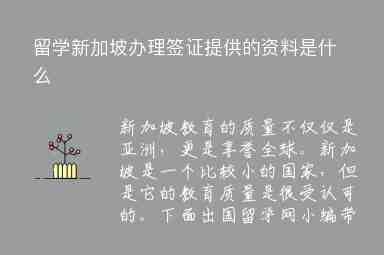 留學新加坡辦理簽證提供的資料是什么