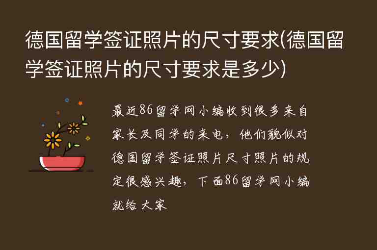 德國留學(xué)簽證照片的尺寸要求(德國留學(xué)簽證照片的尺寸要求是多少)