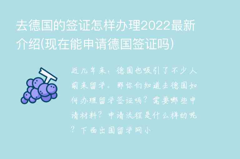 去德國的簽證怎樣辦理2022最新介紹(現(xiàn)在能申請德國簽證嗎)