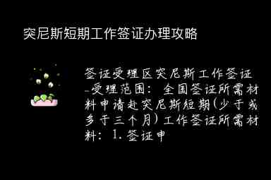 突尼斯短期工作簽證辦理攻略