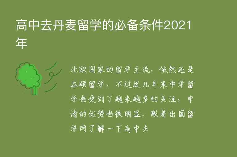 高中去丹麥留學(xué)的必備條件2021年