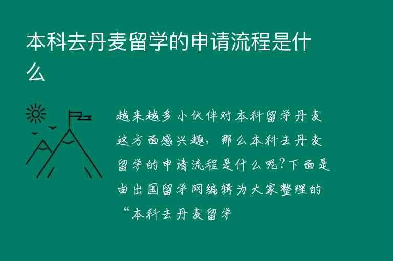 本科去丹麥留學的申請流程是什么