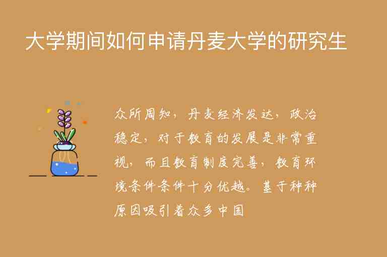 大學(xué)期間如何申請丹麥大學(xué)的研究生