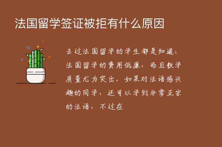 法國留學(xué)簽證被拒有什么原因