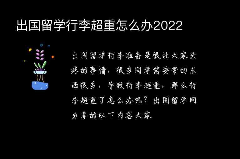 出國留學(xué)行李超重怎么辦2022