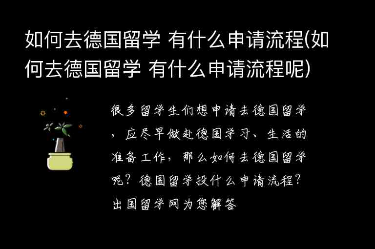 如何去德國留學 有什么申請流程(如何去德國留學 有什么申請流程呢)