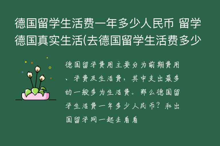 德國留學(xué)生活費(fèi)一年多少人民幣 留學(xué)德國真實(shí)生活(去德國留學(xué)生活費(fèi)多少)