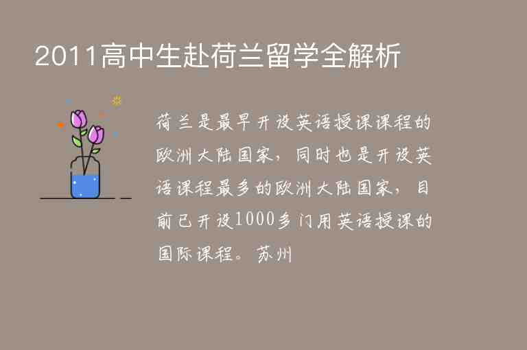 2011高中生赴荷蘭留學(xué)全解析