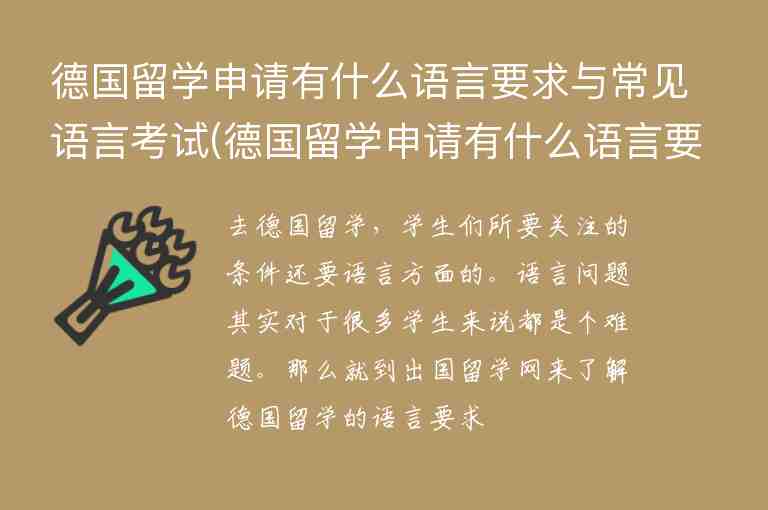 德國留學(xué)申請有什么語言要求與常見語言考試(德國留學(xué)申請有什么語言要求與常見語言考試一樣嗎)