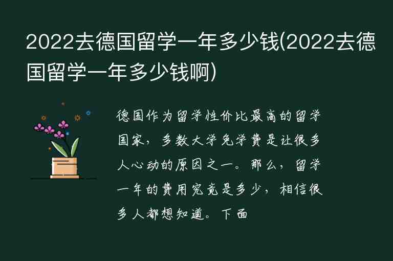 2022去德國留學(xué)一年多少錢(2022去德國留學(xué)一年多少錢啊)