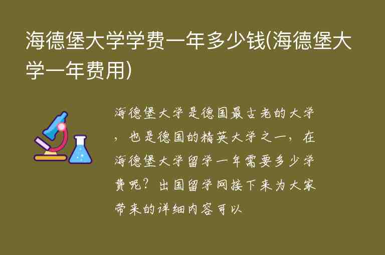 海德堡大學(xué)學(xué)費(fèi)一年多少錢(海德堡大學(xué)一年費(fèi)用)