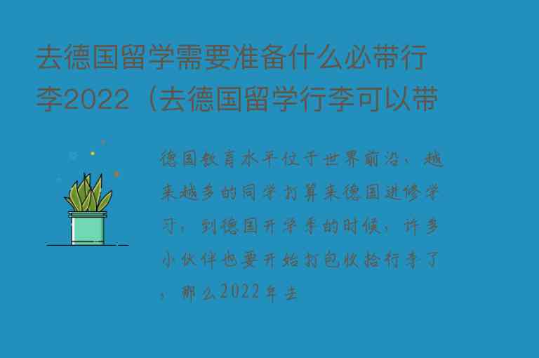 去德國(guó)留學(xué)需要準(zhǔn)備什么必帶行李2022（去德國(guó)留學(xué)行李可以帶多少）