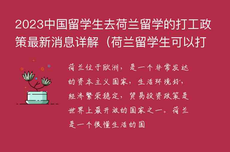 2023中國留學生去荷蘭留學的打工政策最新消息詳解（荷蘭留學生可以打工嗎）