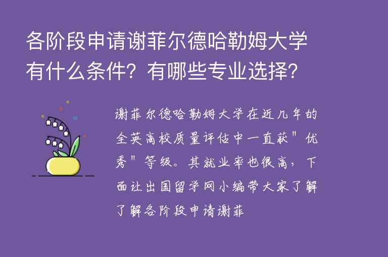 各階段申請謝菲爾德哈勒姆大學(xué)有什么條件？有哪些專業(yè)選擇？