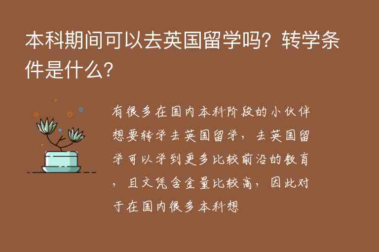 本科期間可以去英國留學嗎？轉學條件是什么？