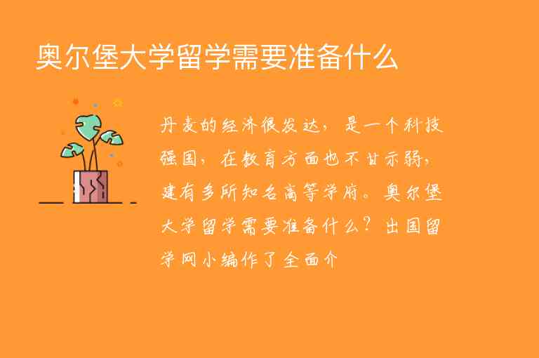 奧爾堡大學(xué)留學(xué)需要準(zhǔn)備什么