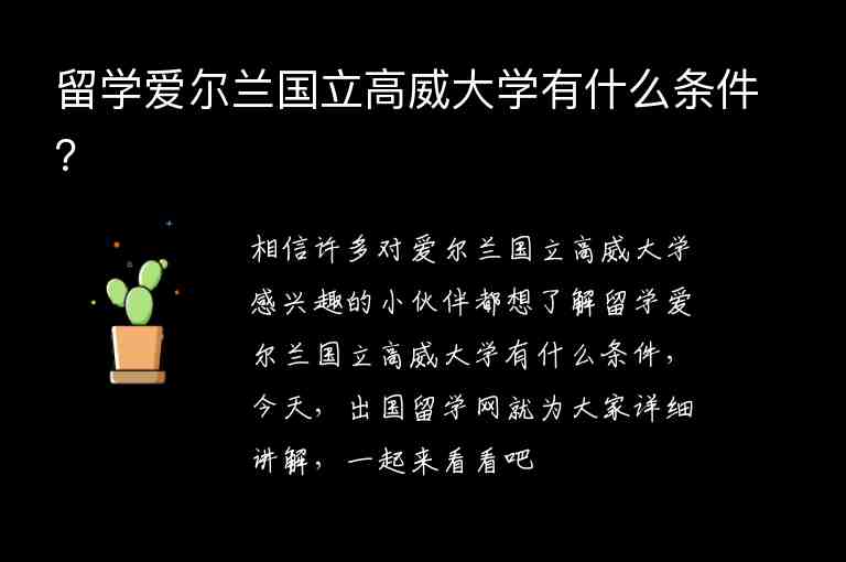 留學(xué)愛(ài)爾蘭國(guó)立高威大學(xué)有什么條件？