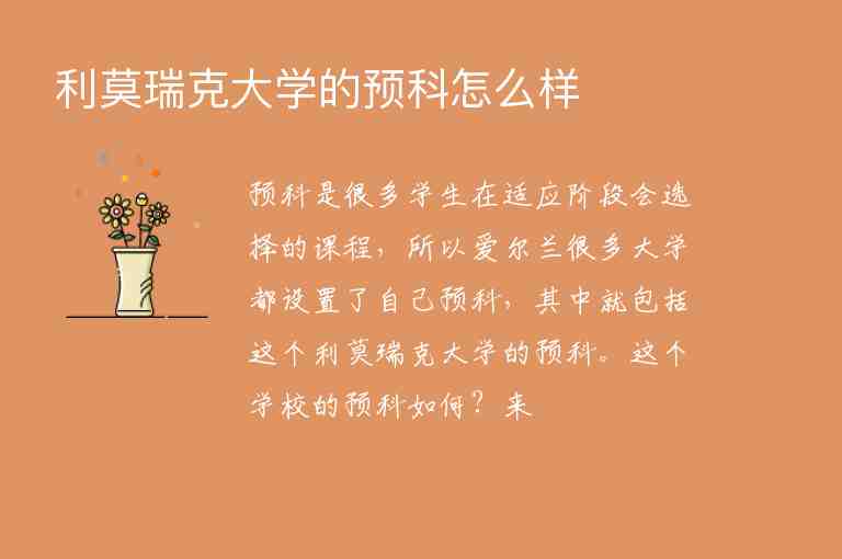 利莫瑞克大學(xué)的預(yù)科怎么樣