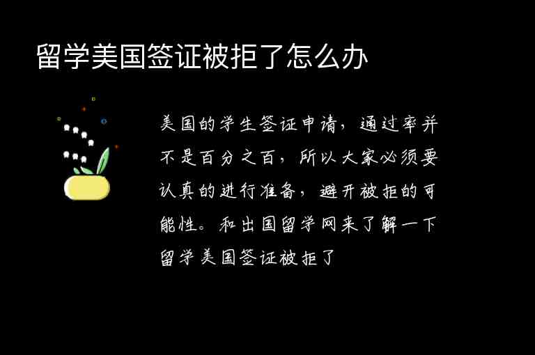 留學(xué)美國簽證被拒了怎么辦