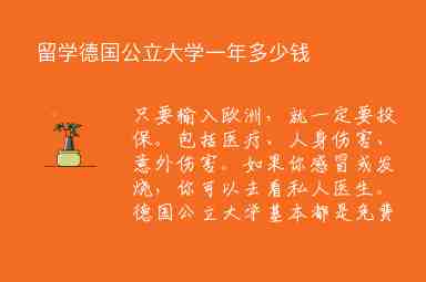 留學(xué)德國公立大學(xué)一年多少錢