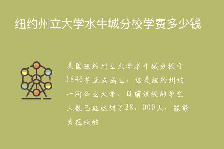 紐約州立大學(xué)水牛城分校學(xué)費(fèi)多少錢(qián)