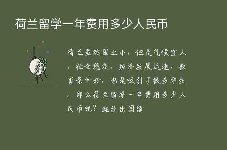 荷蘭留學(xué)一年費(fèi)用多少人民幣