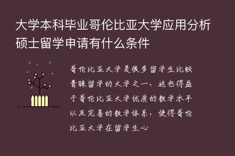 大學(xué)本科畢業(yè)哥倫比亞大學(xué)應(yīng)用分析碩士留學(xué)申請有什么條件