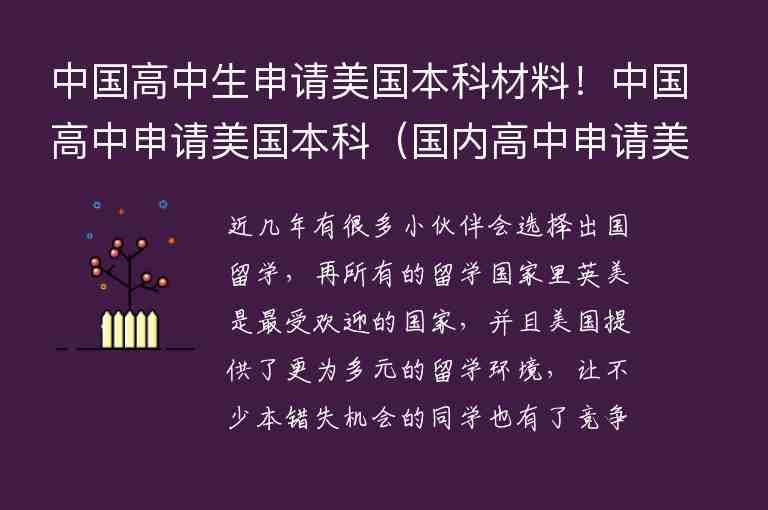 中國高中生申請美國本科材料！中國高中申請美國本科（國內(nèi)高中申請美國本科）