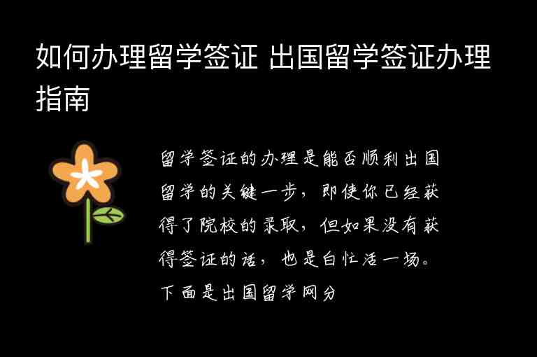 如何辦理留學(xué)簽證 出國留學(xué)簽證辦理指南