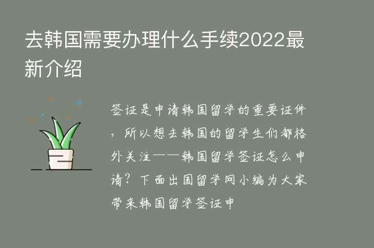 去韓國需要辦理什么手續(xù)2022最新介紹