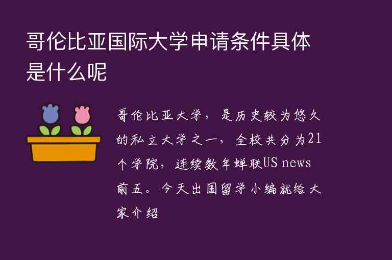 哥倫比亞國際大學申請條件具體是什么呢