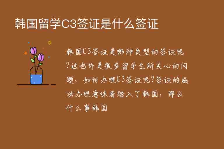 韓國留學(xué)C3簽證是什么簽證