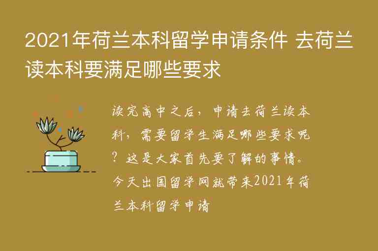 2021年荷蘭本科留學申請條件 去荷蘭讀本科要滿足哪些要求