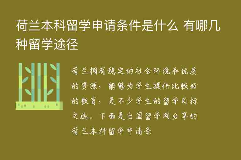 荷蘭本科留學(xué)申請條件是什么 有哪幾種留學(xué)途徑