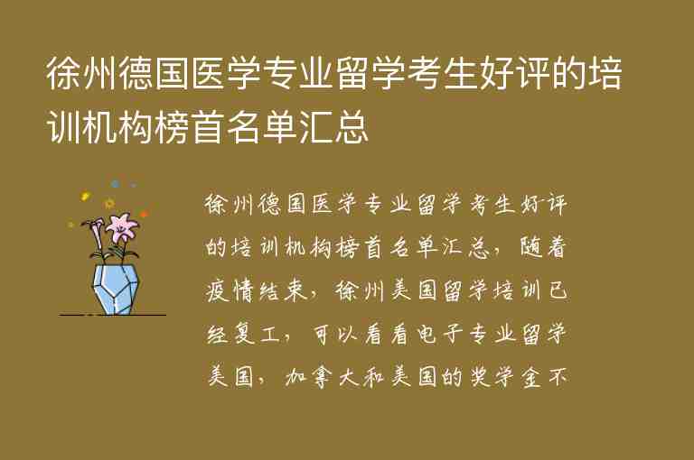 徐州德國醫(yī)學專業(yè)留學考生好評的培訓機構(gòu)榜首名單匯總