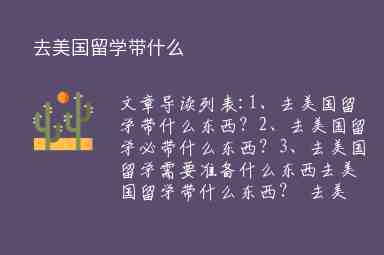 去美國(guó)留學(xué)帶什么