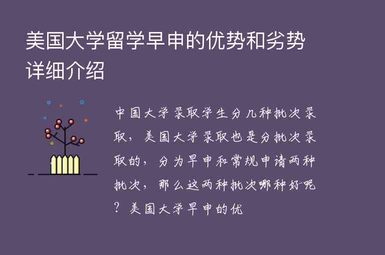 美國(guó)大學(xué)留學(xué)早申的優(yōu)勢(shì)和劣勢(shì)詳細(xì)介紹