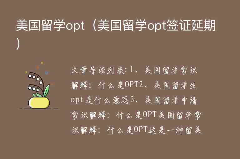 美國(guó)留學(xué)opt（美國(guó)留學(xué)opt簽證延期）